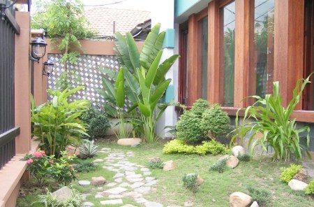 Cây xanh sân vườn - Cây Xanh Trần Phương - Công Ty TNHH Thương Mại Và Dịch Vụ Trần Phương